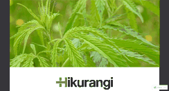 Desktop Screenshot of hikurangi.com